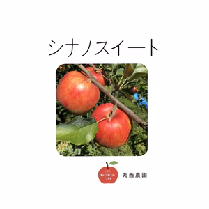 減農薬りんご　ネオニコチノイド系農薬不使用　シナノスイート　家庭用