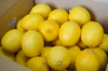 ［Mサイズ］特選低農薬レモン！贈り物にも◎