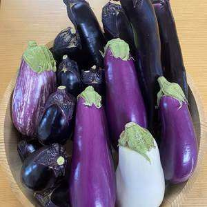 夏 ナスセット‼️（野菜セット）宅配80サイズ‼️