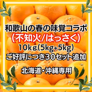 高糖度紅はっさく+和歌山の不知火セット10kg 減農薬！濃い！甘い！紅八朔