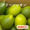 訳なし！グリーンレモン【2㎏・5㎏・10㎏】