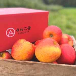 【冷蔵】【訳あり】【希少種】【蔵出し奥州ロマン】パリ甘・ジューシー家庭用