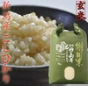 [新米] 新潟県産　スーパーコシヒカリ 棚田米　 5kg (玄米) 令和5年産