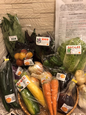 みんなの投稿の画像