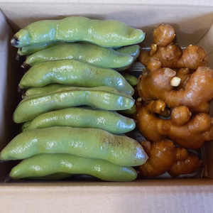 熟成生姜と朝採れそら豆セット【農薬・化学肥料不使用】