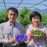 仲田里美 | TSUKUMO FARM