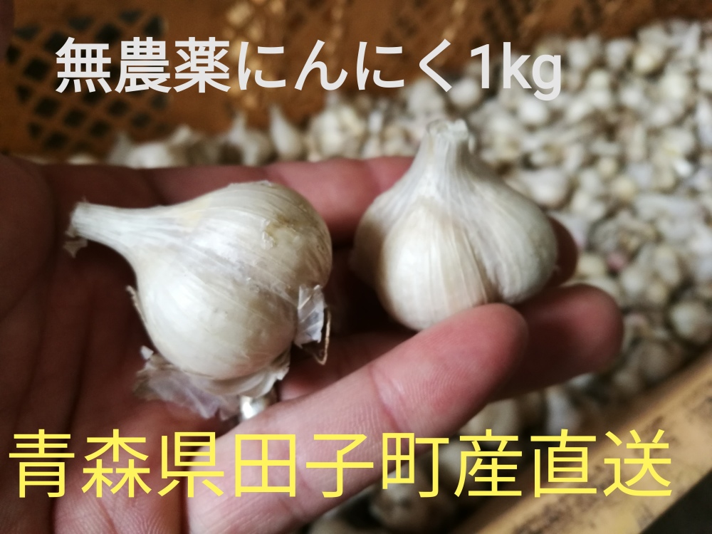 減農薬にんにく1kg 新物年産 青森県田子町産小さなサイズ 農家漁師から産地直送の通販 ポケットマルシェ