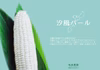 再販！5/10より順次出荷！糖度20度超え！白いとうもろこし 一箱12本