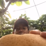 倉住和伸 | 倉ファーム