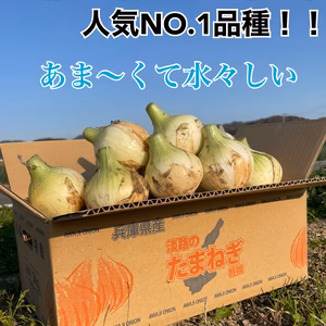 あま〜くて水々しい淡路島産新玉ねぎ『七宝』
