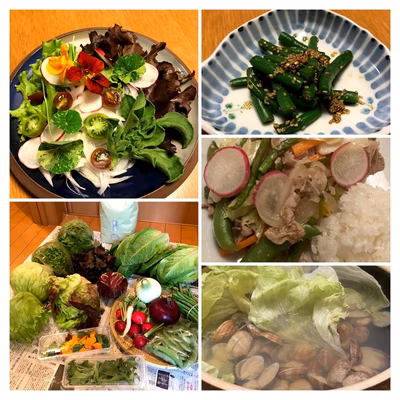 みんなの投稿の画像