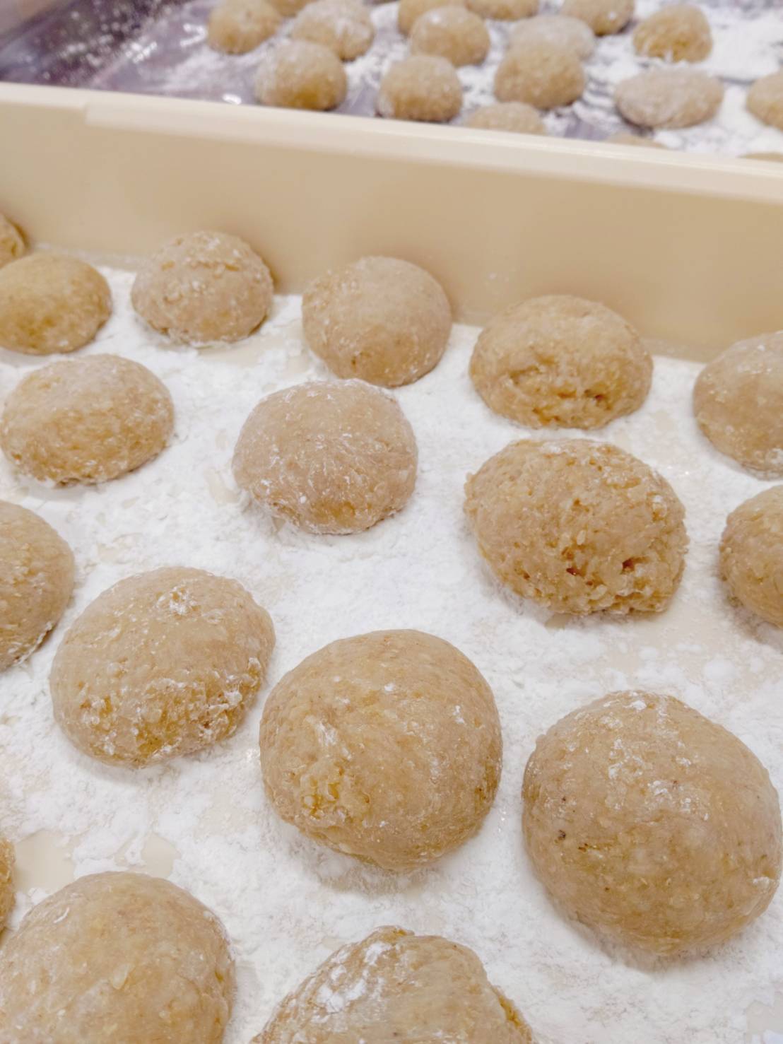 もち米・玄米】自然栽培ハクトモチ2㎏/3kg/4kg/5kg｜餅・もち米