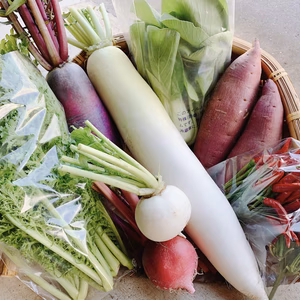 新潟の野菜詰め合わせ　６〜７種類