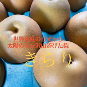 【きらり梨】栃木の梨　希少品種