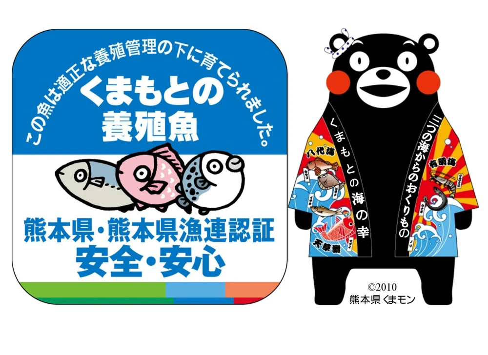【TVで紹介！】丸っと1尾⭐︎真鯛をお届け！（3～4人前）ウロコ・内蔵処理済