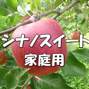 近日中発送！【家庭用】シナノスイート 約5kg～ 信州りんご 
