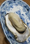 日本一深い海で熟成された深海牡蠣！『碧』大サイズ 生食用 