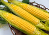 【タイムセール】2本増量で価格据え置き！朝採りの「おひさまの金色とうもろこし」