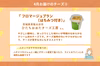 国産チーズを食べ比べ！「にっぽんのチーズ定期便」