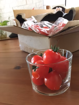 みんなの投稿の画像