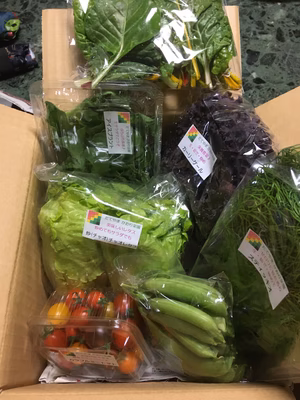 みんなの投稿の画像