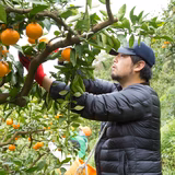 松坂進也 | まつさか農園