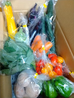 みんなの投稿の画像