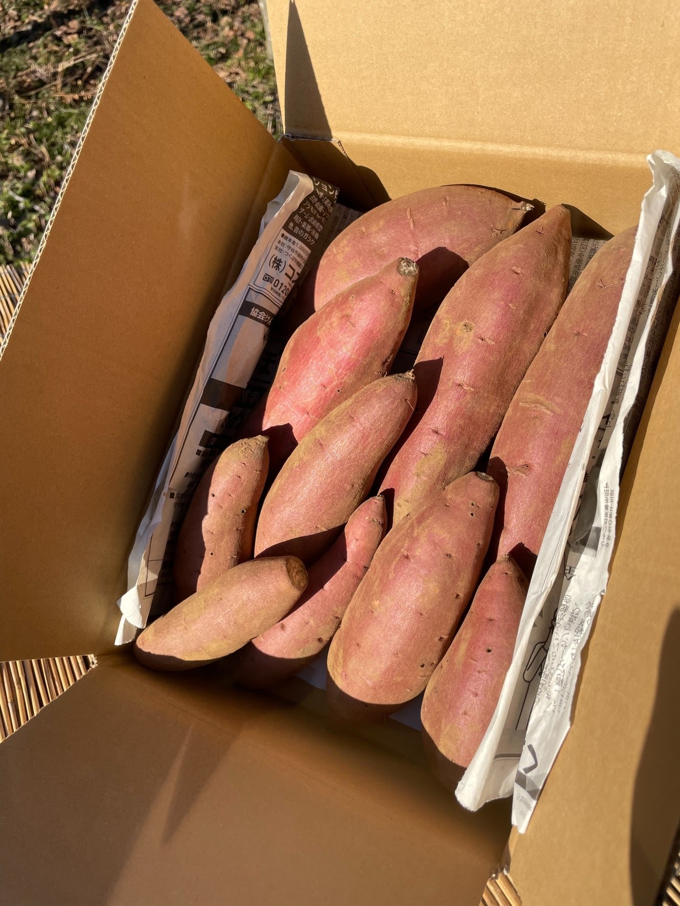 贈り物やお歳暮最適【さつまいも3種の食べ比べセット②】 ※沖縄北海道 