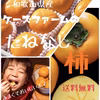 (自家用)和歌山県産たねなし柿2L・3Lサイズ(14個～16個)<柿チャレンジ>