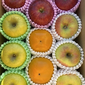 旬の果物詰合せ りんご、甘柿 フルーツボックス♪