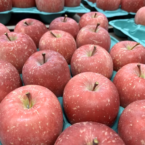 ふじ　10キロ【ちょっとした訳あり！まとめ買いでお得！】