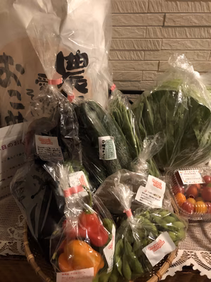 みんなの投稿の画像