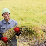 水垣 篤 | 八鹿酒造有限会社