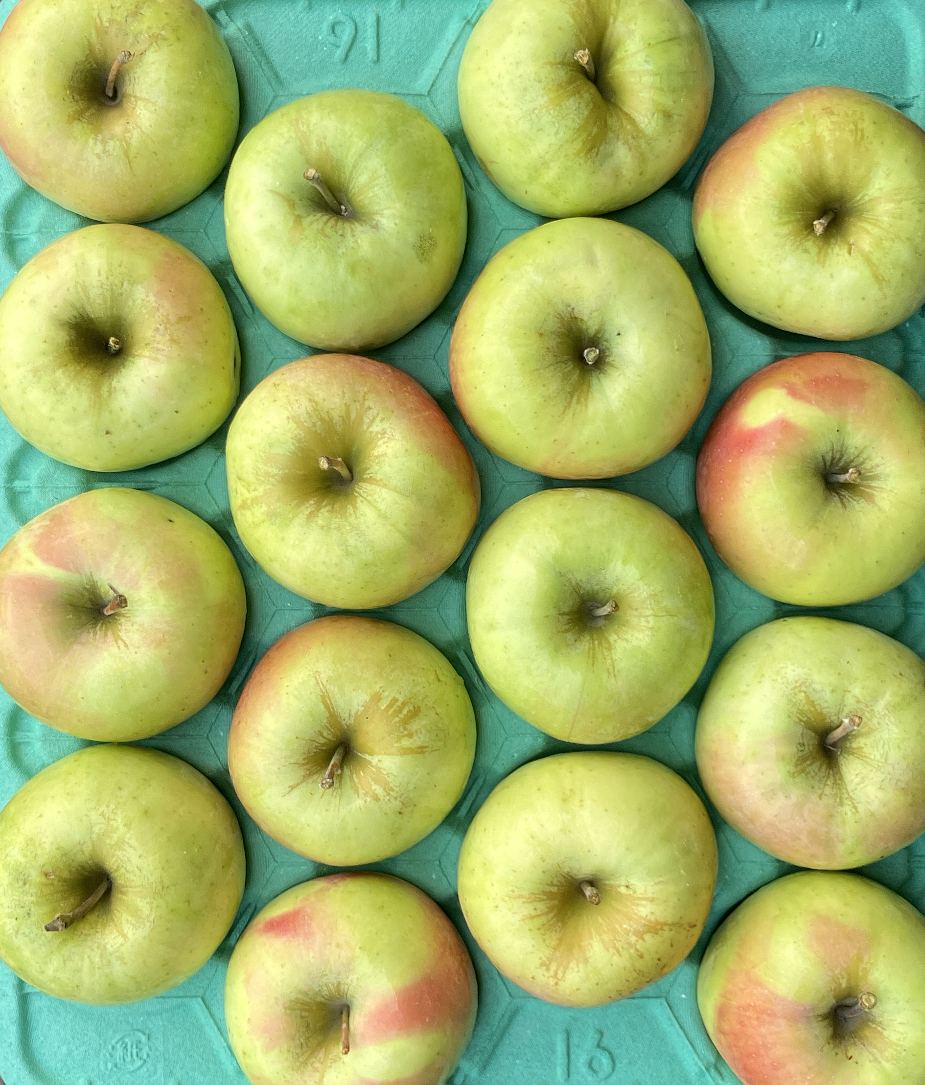 販売中！】青森県産りんご「ぐんま名月」家庭用 贈答用 キズ有 光