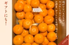 【完熟有田みかん】3キロ　ギフトにも　温州みかん　宮川早生　早生みかん　低農薬