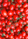 小粒なアイコ（ミニトマト）