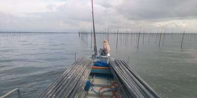 海苔養殖の仕事①｜最大の重労働、竹建て作業