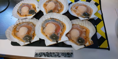 みんなの投稿の画像