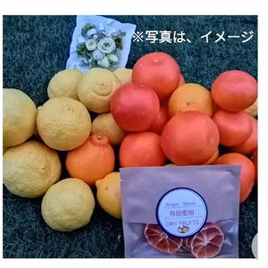 特典付!【家計に優しい】ビッグセール❢4種バラエティー合計4Kg(箱込）