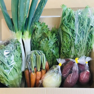 季節の野菜セット