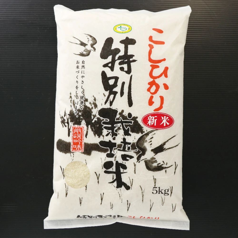令和4年度 千葉県産 新米 特別栽培米コシヒカリ 精米5㎏×2袋より