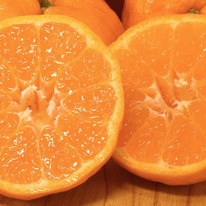 【数量限定】西南のひかり 〜とろける甘さと、溢れる果汁の贅沢〜