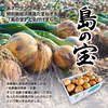 【大玉/クール便】淡路島産たまねぎ 特別栽培 兵庫県認証食品