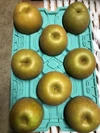 甘太梨　ご家庭用の梨　10玉～16玉　5キロ箱