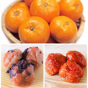 甘〜い！温州みかん３kg ＊キムチ梅500g＊かつお梅500g  