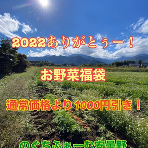 数量限定！】完全お任せ！野菜の福袋100サイズ