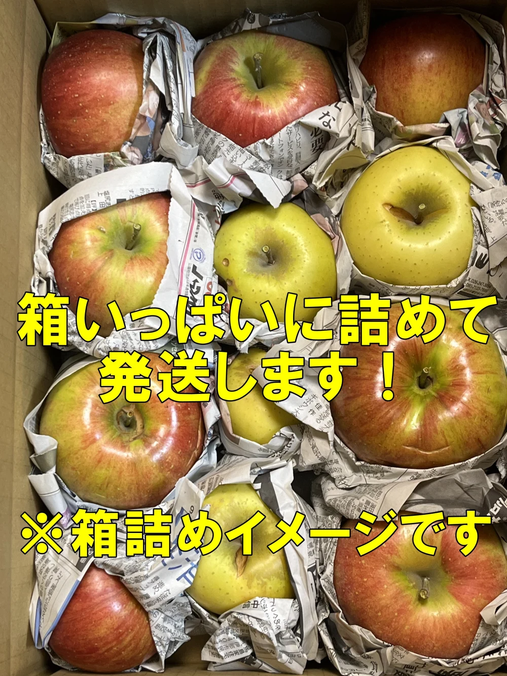 【品種おまかせ】訳あり りんご 箱満タンで発送します❗️信州りんご 