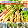 天然山菜4種以上詰合せB 800g以上 山形産《予約受付》