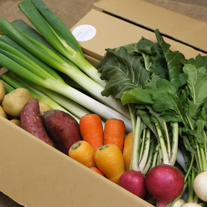 いろとりどり！きたかた冬野菜満喫セット