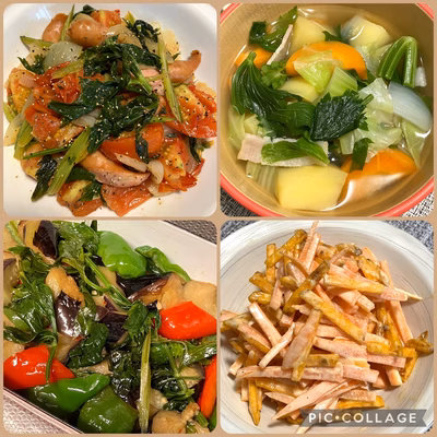 みんなの投稿の画像